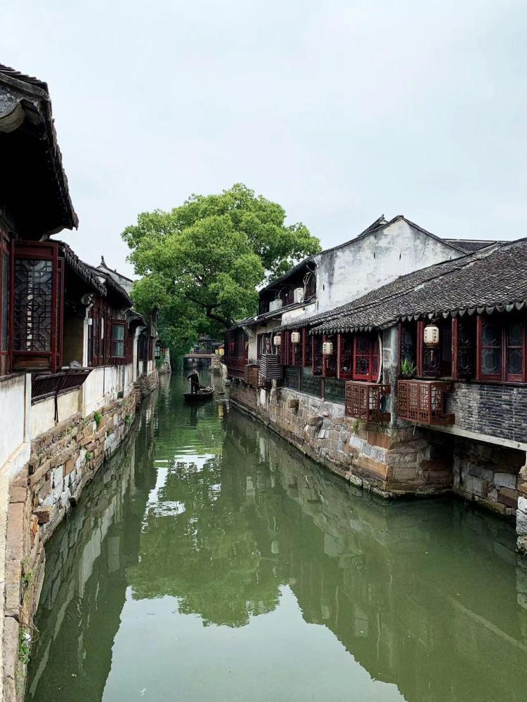 学校oa办公系统用什么好?知识星球平台,探索无限智慧